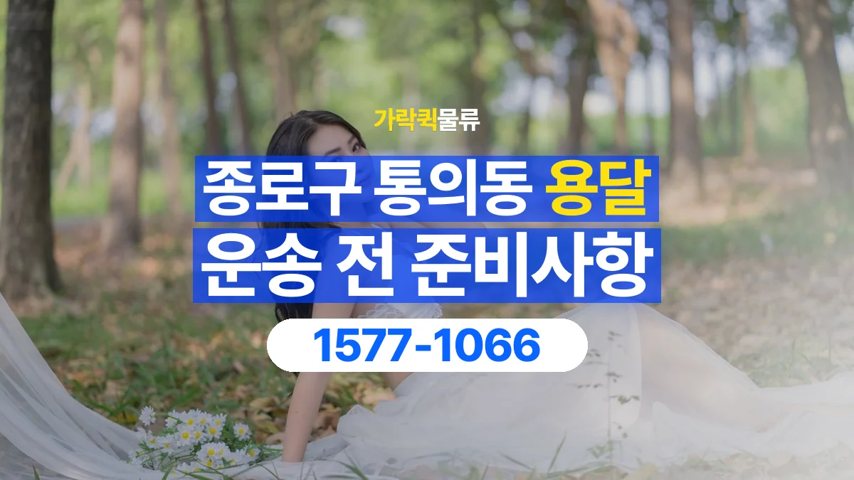 가락퀵물류 · 서울 종로구 통의동 용달 화물 박스가 많을 때 수량과 부피 정리하는 법