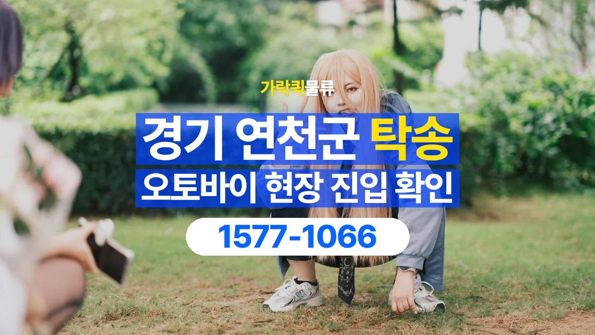 가락퀵물류 · 경기 연천군 오토바이 이륜차 탁송 용달 골목이나 지하 주차장에 있을 때