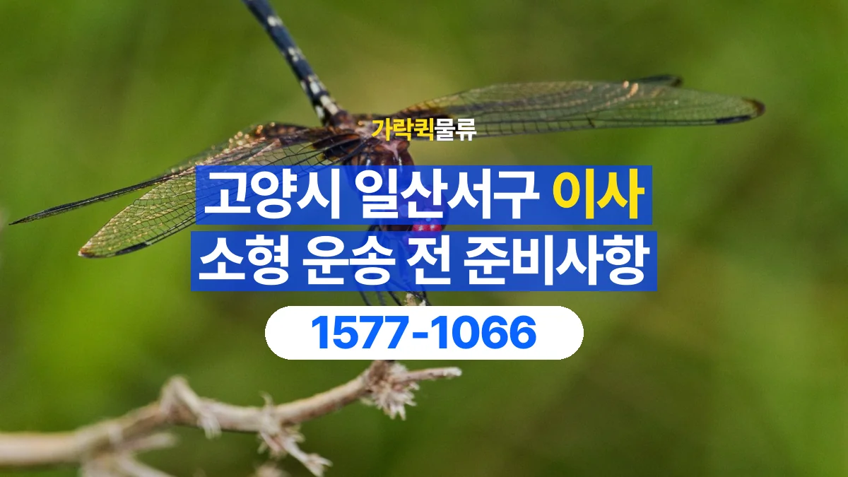가락퀵물류 · 경기 고양시 일산서구 소형 이사 용달 작은 짐이 많을 때 박스를 정리하는 법
