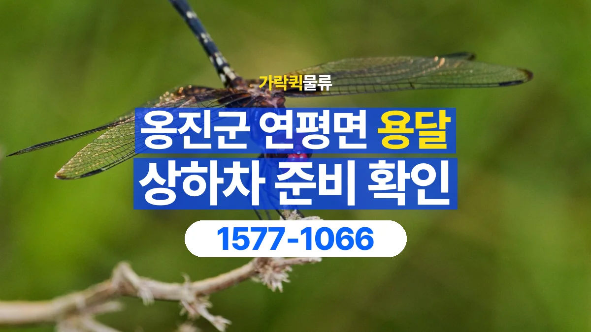 가락퀵물류 · 인천 옹진군 연평면 용달 화물 직접 상하차와 기사님 도움의 차이