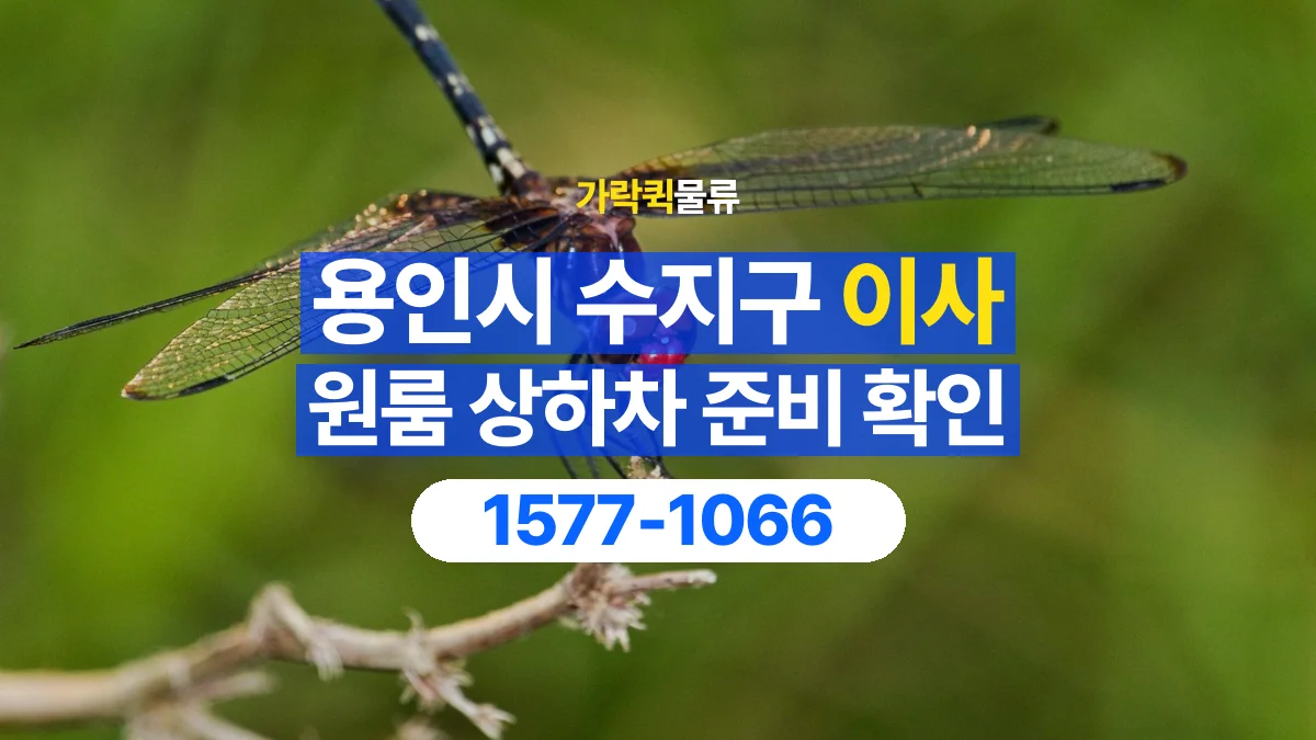 가락퀵물류 · 경기 용인시 수지구 원룸 이사 용달 상하차를 도와줄 인원이 필요할 때