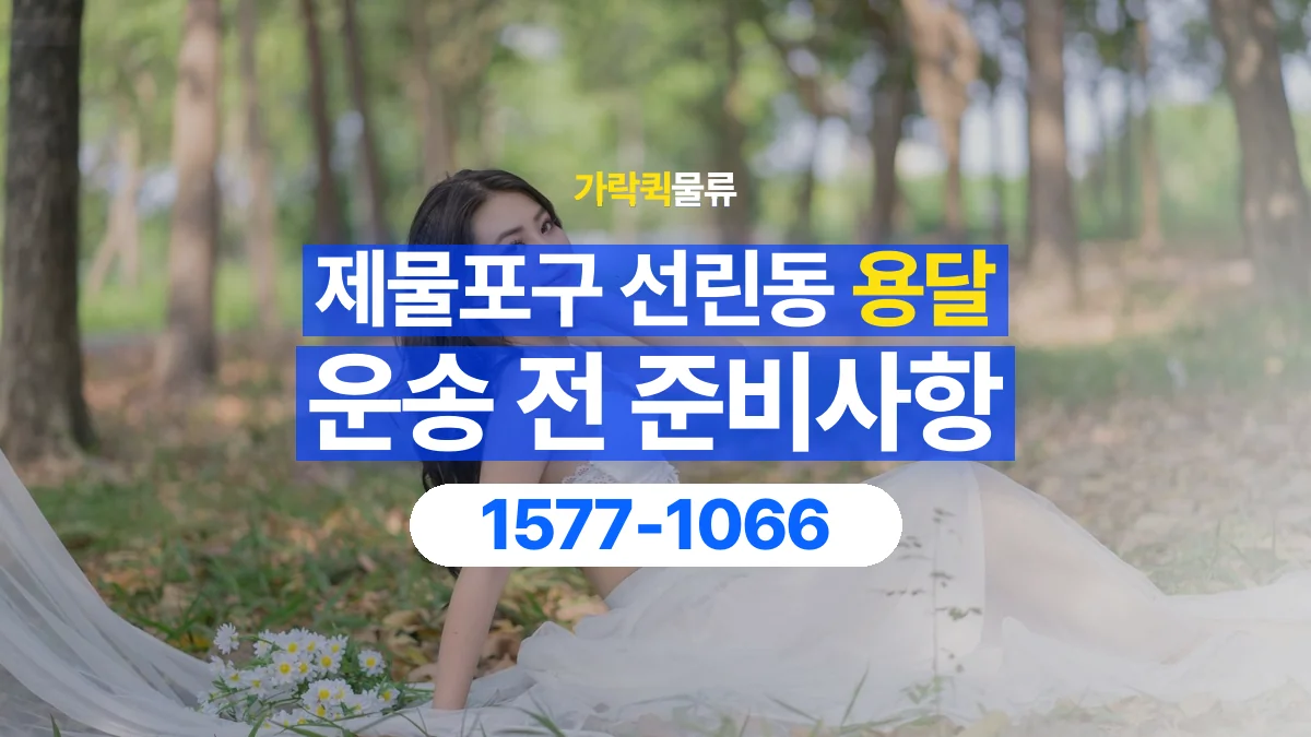 가락퀵물류 · 인천 제물포구 선린동 용달 화물 박스가 많을 때 수량과 부피 정리하는 법