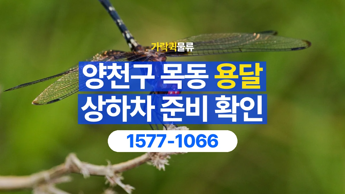 가락퀵물류 · 서울 양천구 목동 용달 화물 직접 상하차와 기사님 도움의 차이
