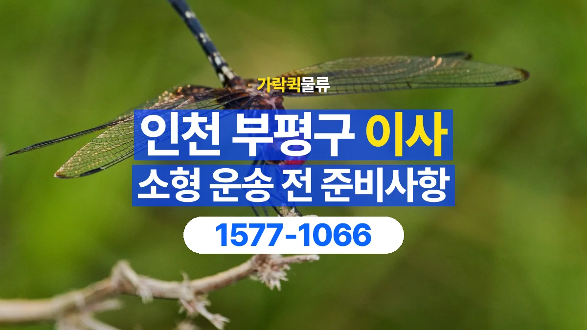 가락퀵물류 · 인천 부평구 소형 이사 용달 짐 목록부터 정리하면 상담이 쉬워집니다