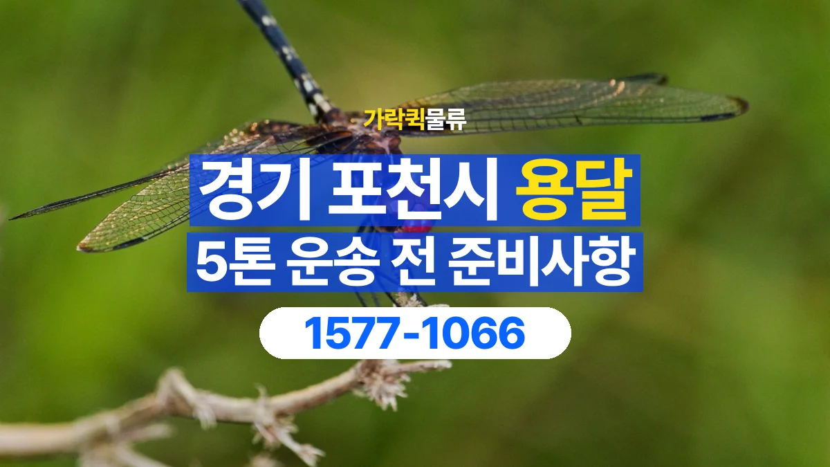 가락퀵물류 · 경기 포천시 5톤 화물 용달 카고와 윙바디를 선택하기 전 비교할 점