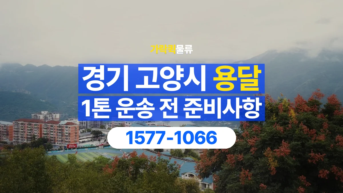 가락퀵물류 · 경기 고양시 1톤 화물 용달 카고와 윙바디를 선택하기 전 비교할 점