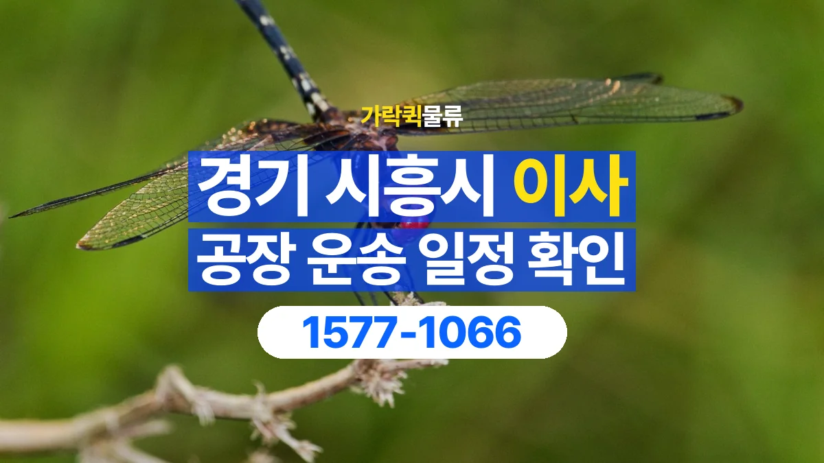 가락퀵물류 · 경기 시흥시 공장 이사 용달 이동 날짜와 작업 시간을 맞추는 방법