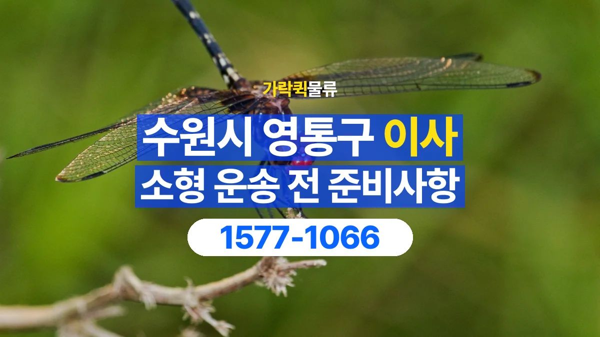 가락퀵물류 · 경기 수원시 영통구 소형 이사 용달 작은 짐이 많을 때 박스를 정리하는 법