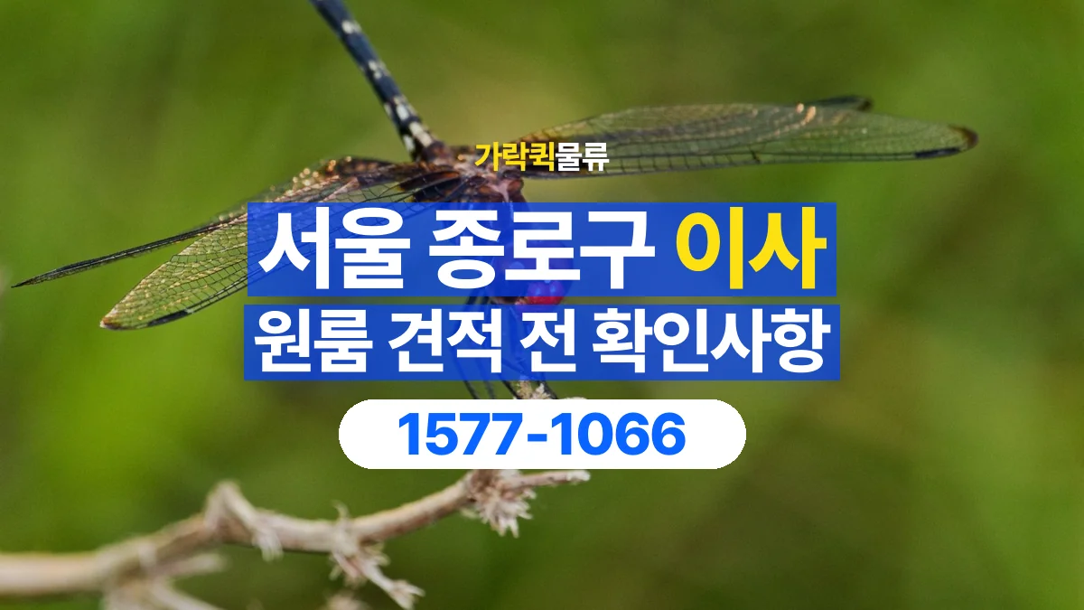 가락퀵물류 · 서울 종로구 원룸 이사 용달 견적에 포함되는 작업 범위 확인하기