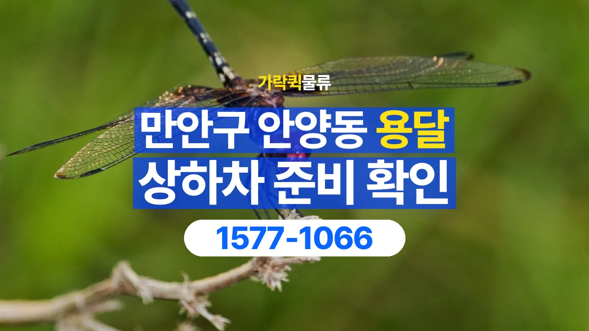 가락퀵물류 · 경기 안양시 만안구 안양동 용달 화물 직접 상하차와 기사님 도움의 차이