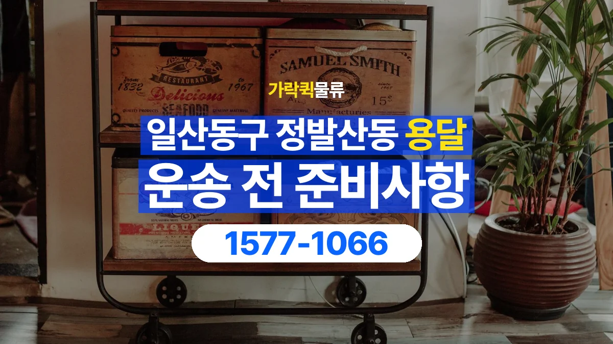 가락퀵물류 · 경기 고양시 일산동구 정발산동 용달 화물 박스가 많을 때 수량과 부피 정리하는 법