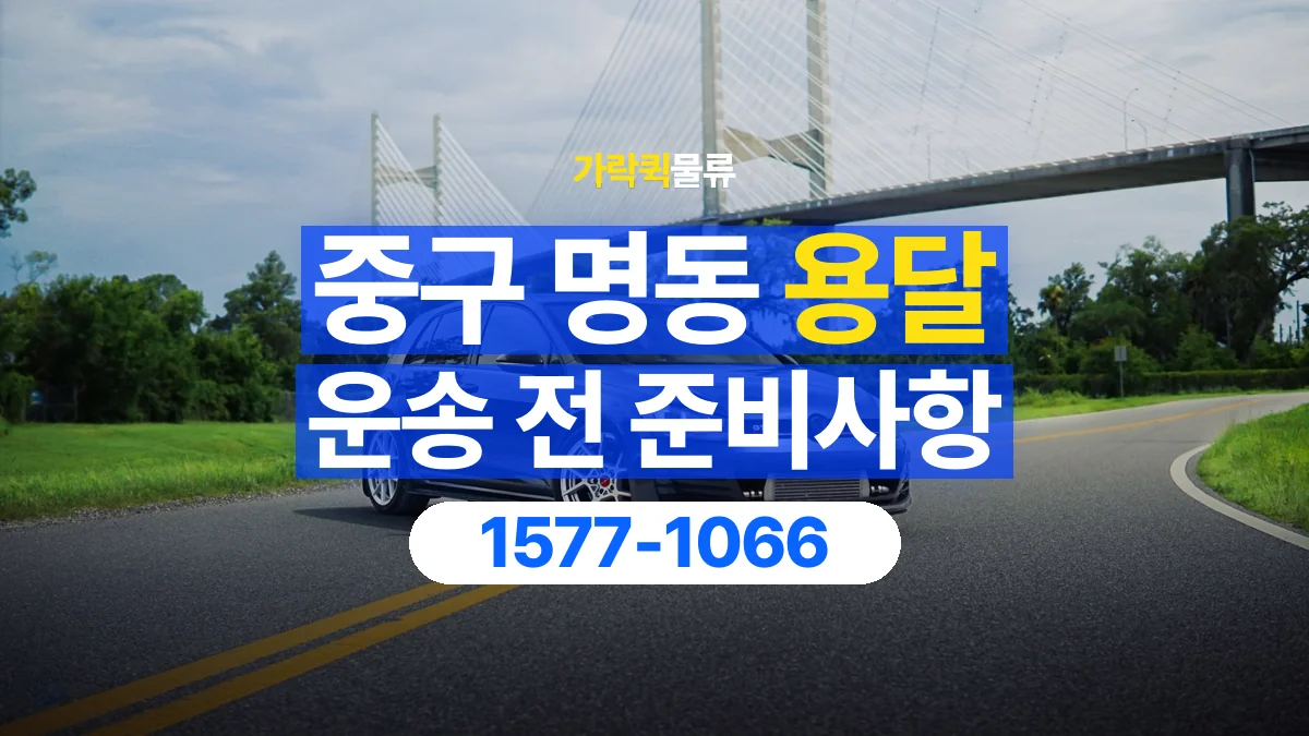 가락퀵물류 · 서울 중구 명동 용달 화물 박스가 많을 때 수량과 부피 정리하는 법