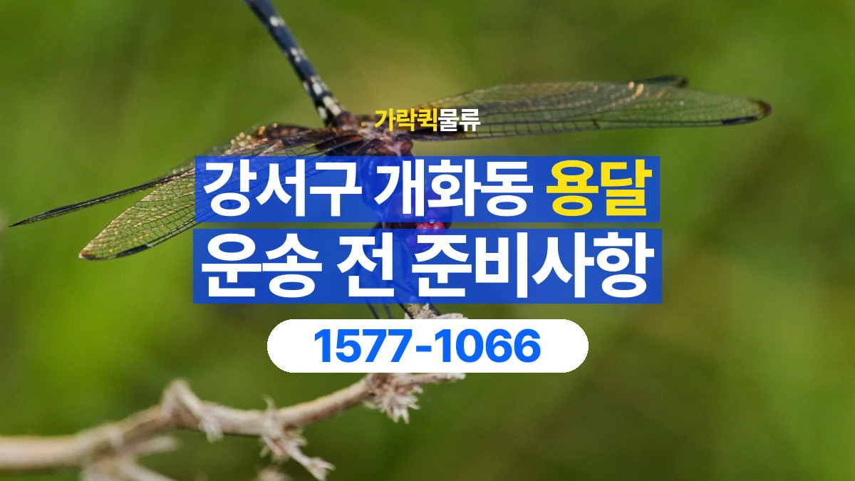 가락퀵물류 · 서울 강서구 개화동 용달 화물 박스가 많을 때 수량과 부피 정리하는 법