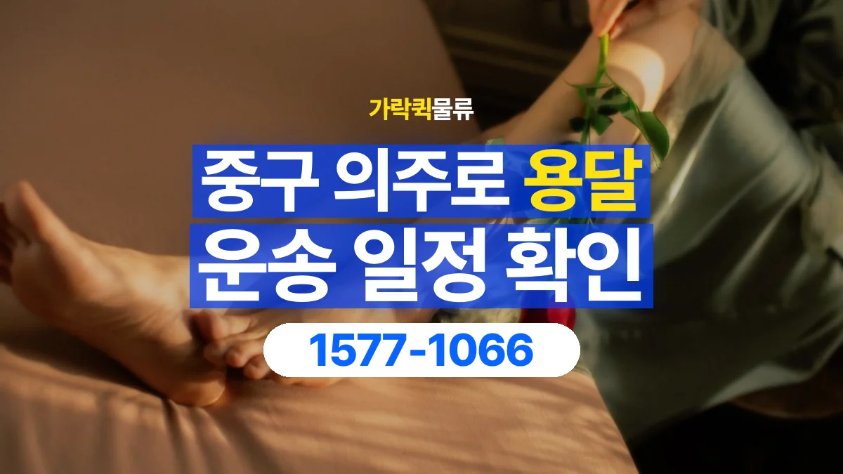 가락퀵물류 · 서울 중구 의주로 용달 화물 예약 전 물건 정보부터 정리해보세요
