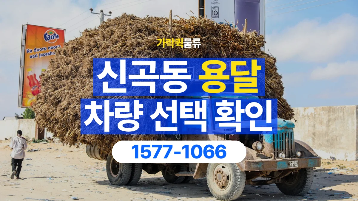 가락퀵물류 · 신곡동 화물 용달 물품 크기별 적재 차량 선택 기준