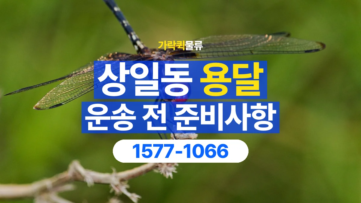 가락퀵물류 · 상일동 화물 용달 물품 목록 작성과 수량 확인 항목