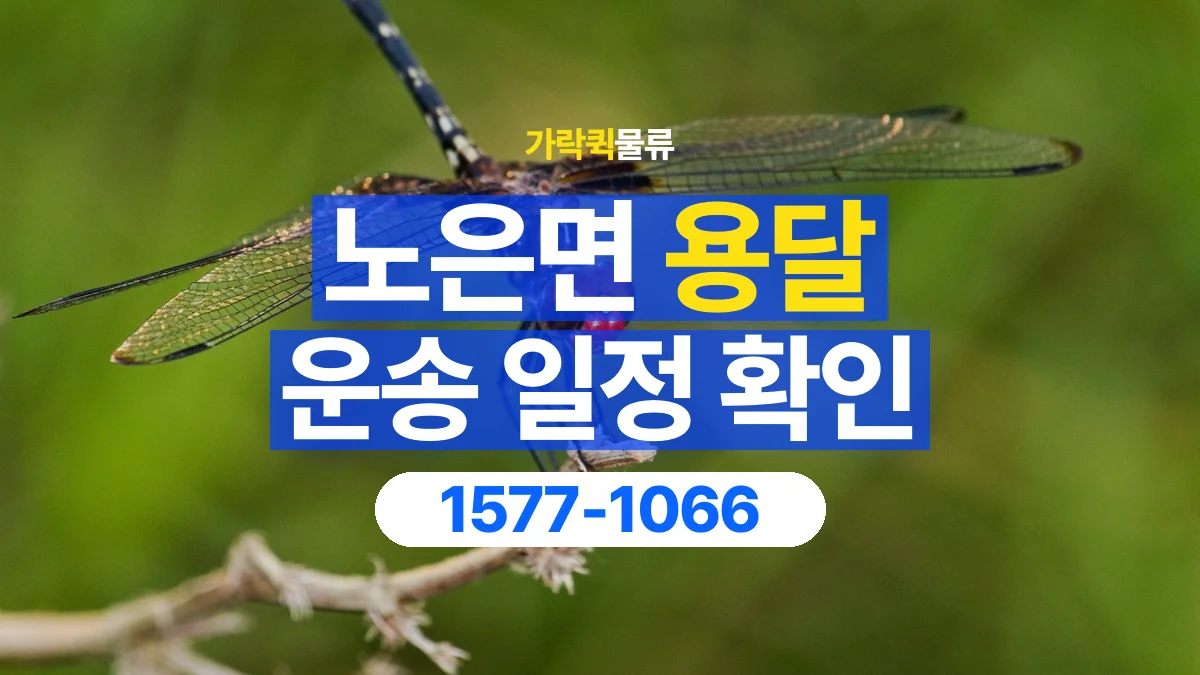 가락퀵물류 · 노은면 화물 용달 예약 일정 변경과 전달 정보 정리