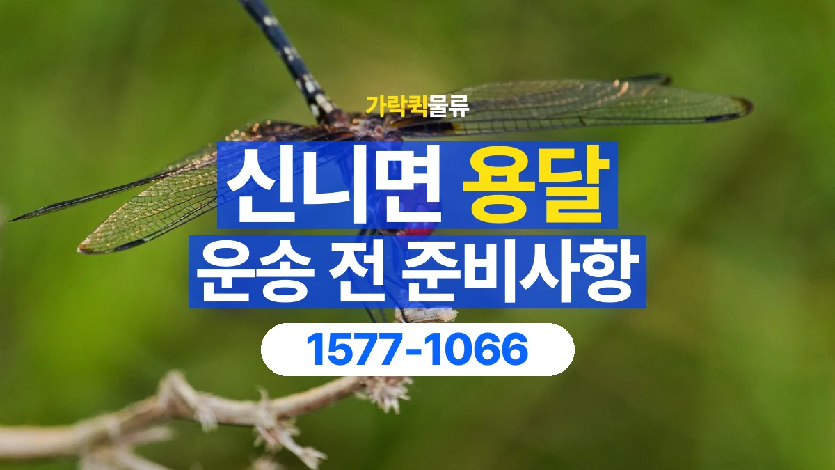 가락퀵물류 · 신니면 화물 용달 출발지 도착지 담당자 연락처 정리