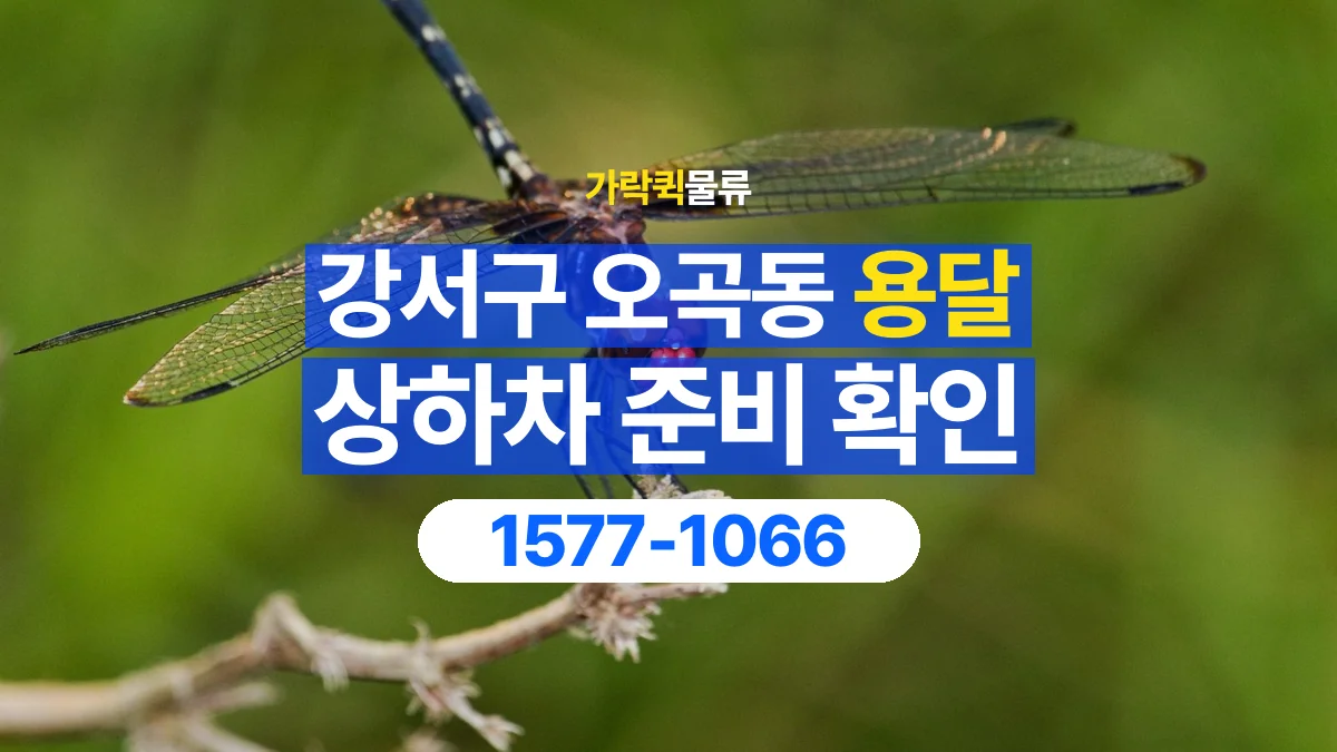 가락퀵물류 · 서울 강서구 오곡동 용달 화물 직접 상하차와 기사님 도움의 차이