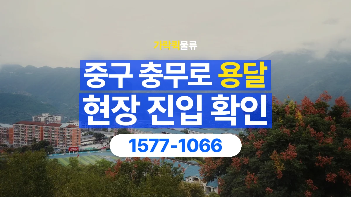 가락퀵물류 · 서울 중구 충무로 용달 화물 골목과 주차 공간을 미리 확인하세요