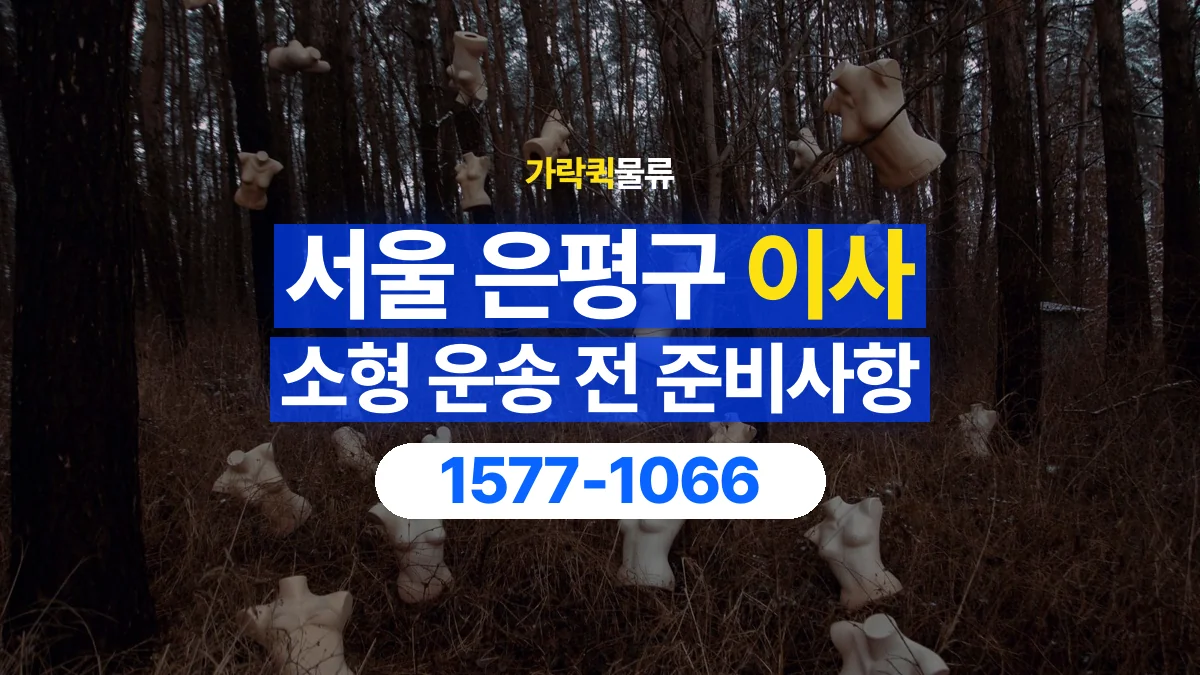 가락퀵물류 · 서울 은평구 소형 이사 용달 작은 짐이 많을 때 박스를 정리하는 법