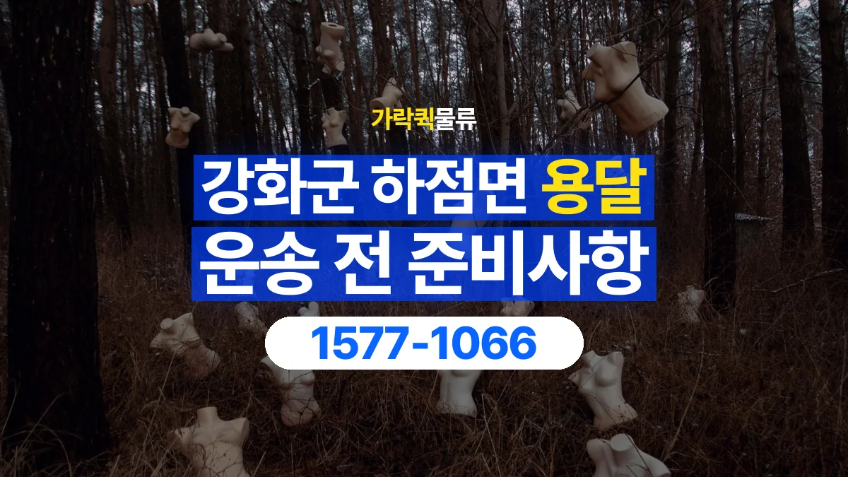 가락퀵물류 · 인천 강화군 하점면 용달 화물 박스가 많을 때 수량과 부피 정리하는 법