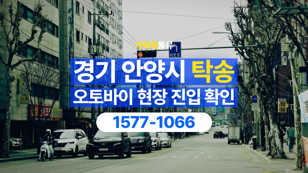 가락퀵물류 · 경기 안양시 오토바이 이륜차 탁송 용달 골목이나 지하 주차장에 있을 때