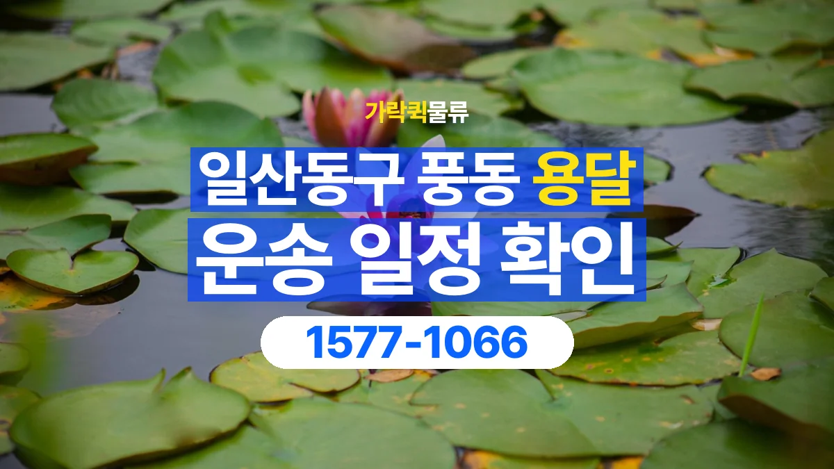가락퀵물류 · 경기 고양시 일산동구 풍동 용달 화물 현장 대기와 작업 시간은 어떻게 전달할까