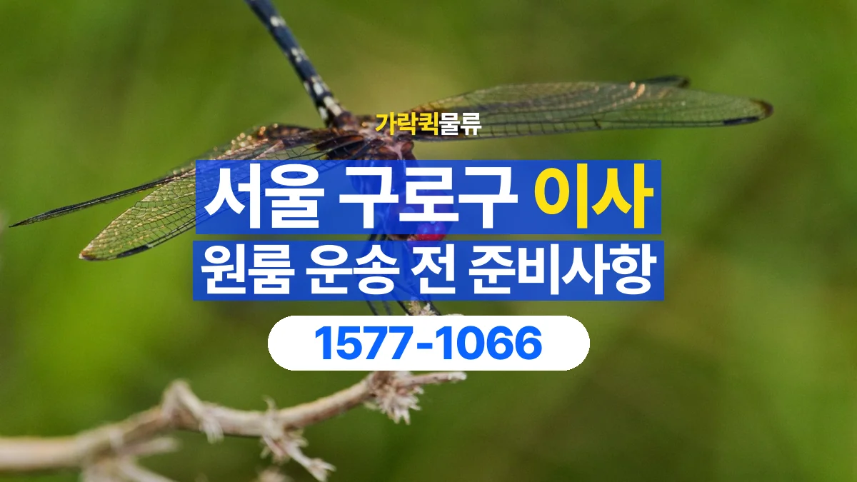 가락퀵물류 · 서울 구로구 원룸 이사 용달 분해가 필요한 물건은 미리 알려주세요
