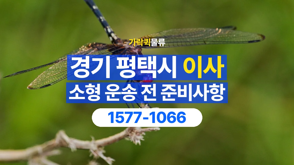 가락퀵물류 · 경기 평택시 소형 이사 용달 짐 목록부터 정리하면 상담이 쉬워집니다