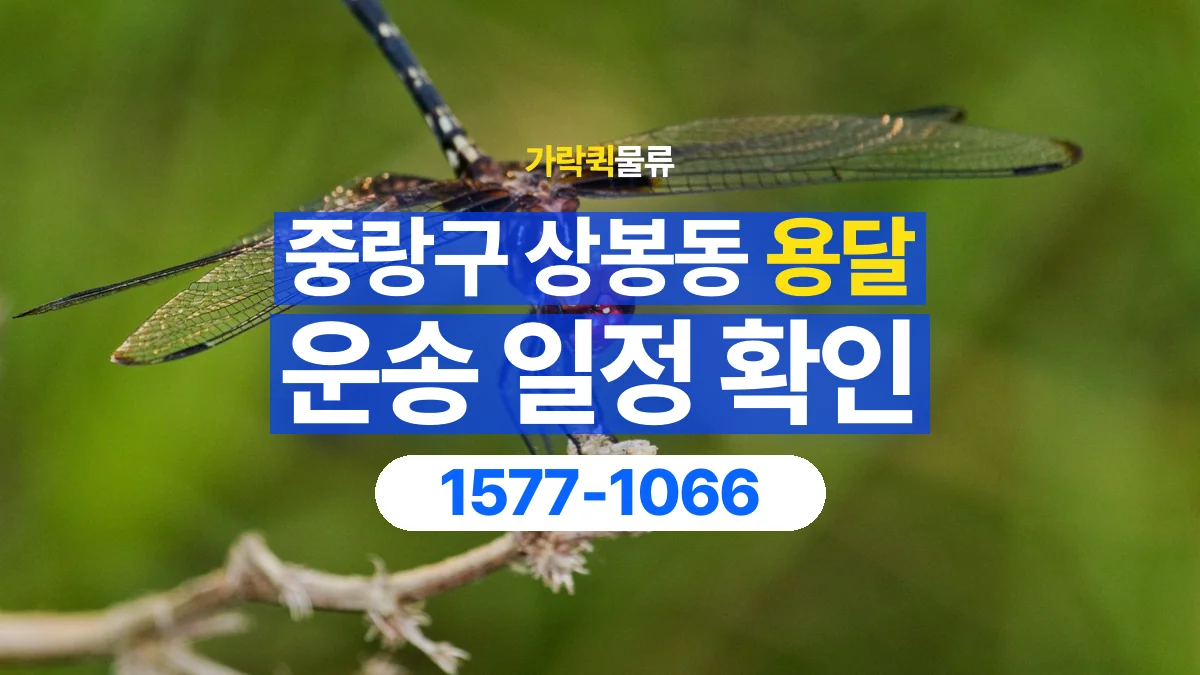 가락퀵물류 · 서울 중랑구 상봉동 용달 화물 예약 전 물건 정보부터 정리해보세요