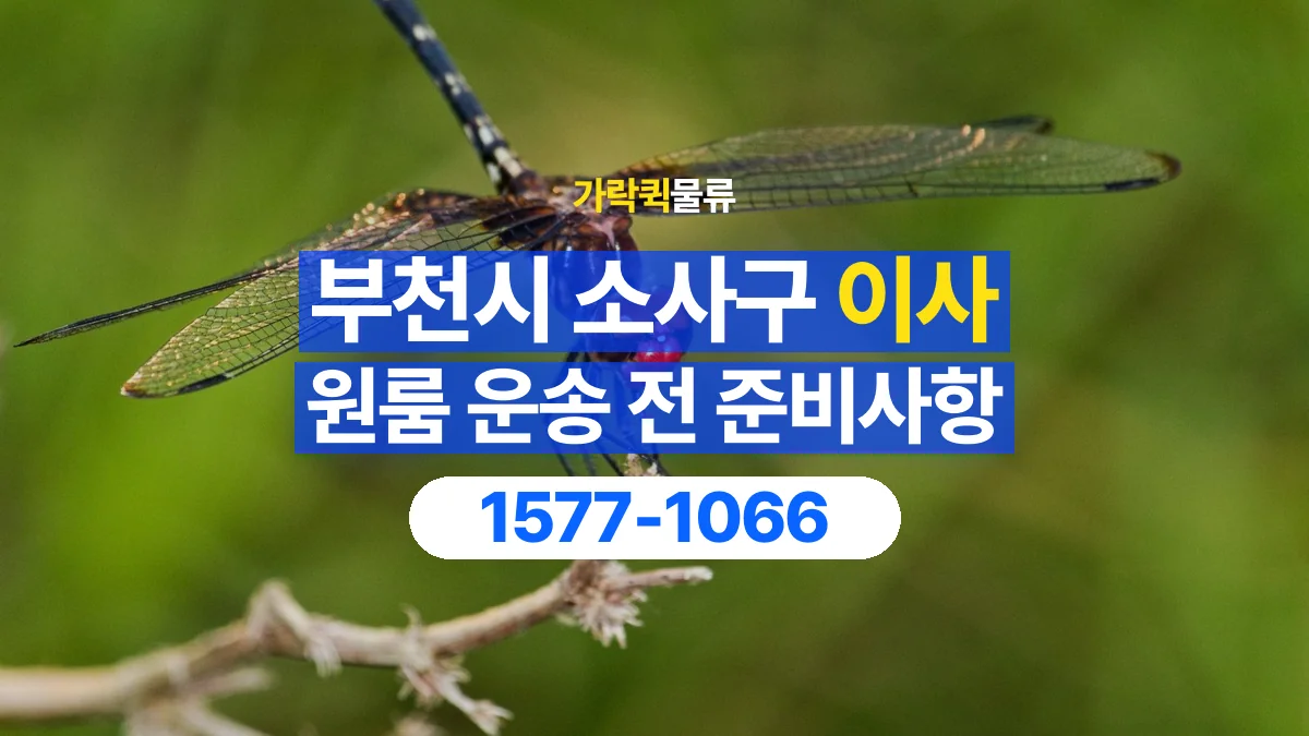 가락퀵물류 · 경기 부천시 소사구 원룸 이사 용달 계단과 층수에 따라 달라지는 준비사항