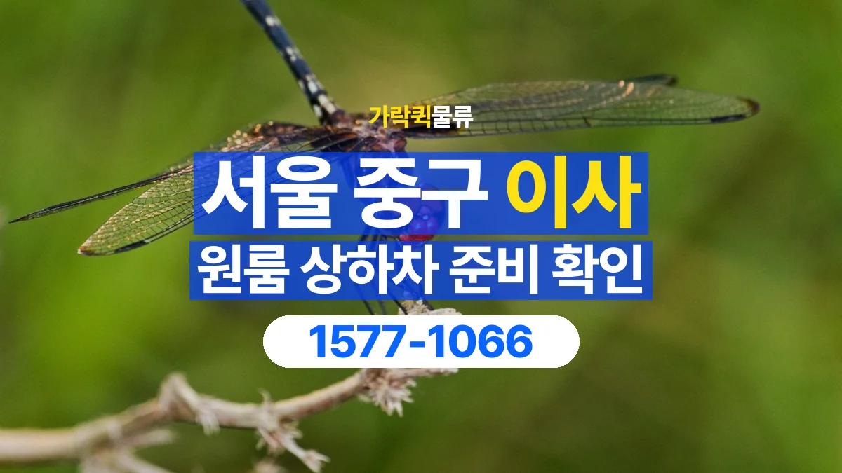 가락퀵물류 · 서울 중구 원룸 이사 용달 상하차를 도와줄 인원이 필요할 때