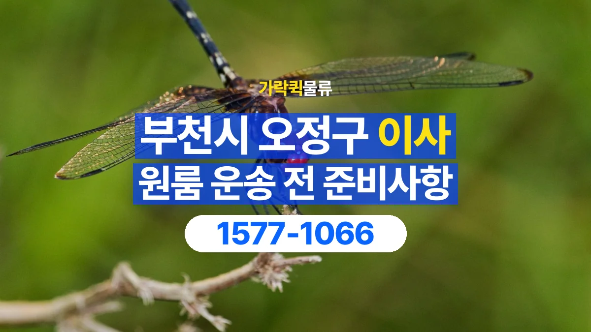 가락퀵물류 · 경기 부천시 오정구 원룸 이사 용달 무거운 짐과 현장 안전을 확인하세요